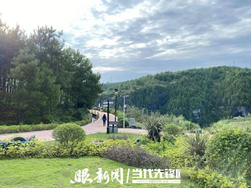 逃离城市？呵呵，华安才是你新的噩梦