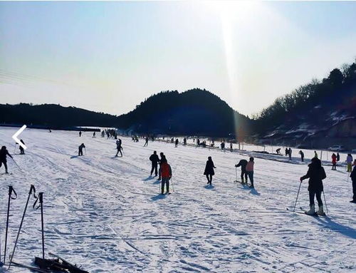 二、 梦幻冰雪，哈尔滨的冬季仙境