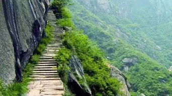 景点实拍：卖家秀vs买家秀