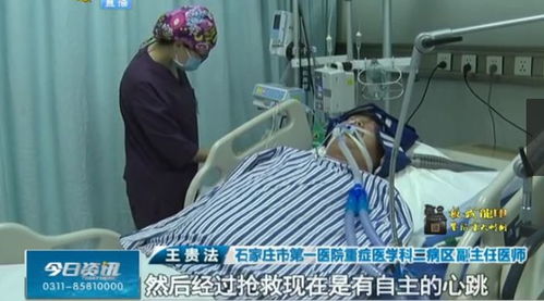 炼金小屋与树枝小孩