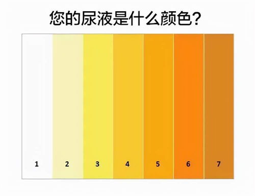 3.1 颜色与材质的奇妙配合