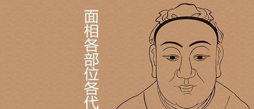 救命！我脸上的青春痘居然在预言