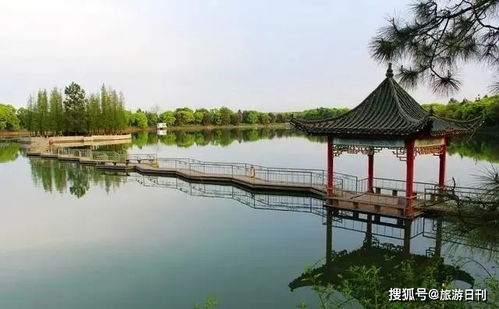 生肖专属旅游指南