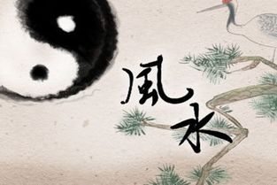 风水这玩意儿到底靠不靠谱？