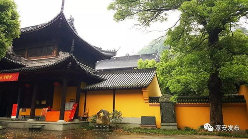 住宿建议（随意编造）