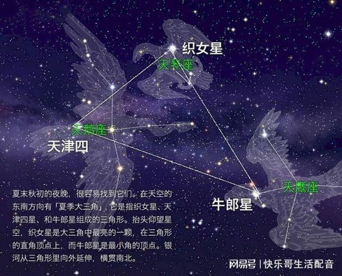 牛郎星和织女星分别属于哪个星座呢？