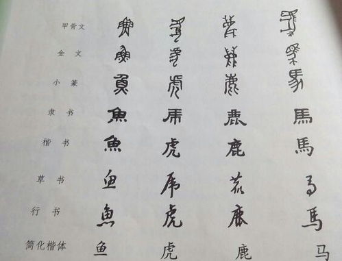 四、风水布局：让你的名字发光发炎热！