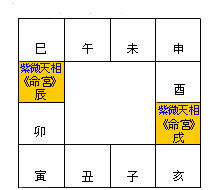 紫微斗数？天相星？奴仆宫？这都啥玩意儿啊！
