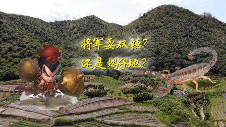 风水蝎子地如何下葬,风水蝎子地如何下葬
