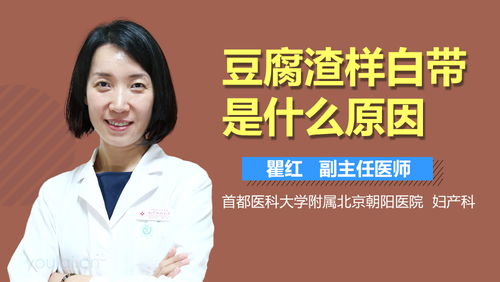 菌种档案卡片：