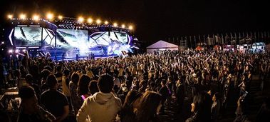 多元文化节日盛宴，全球狂欢爆款来袭！