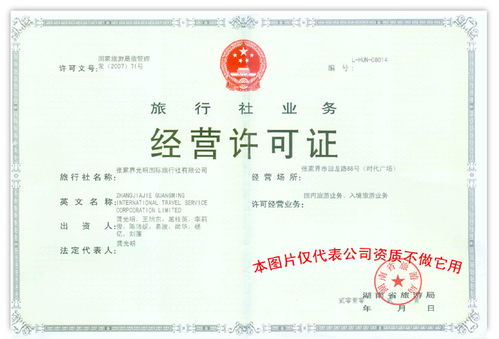 许可证：创业者的噩梦