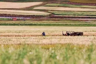 # 五一亲子线路乱写版 #