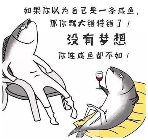 咸鱼究竟属于哪个生肖呢？