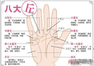 珠海哪里有手相大师，能准确看手相改运改命？