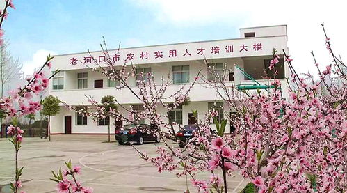 七、FAQ（随意编造）