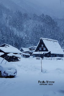 深度体验真正的雪国风情