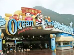 最佳游玩时间！错过要等一年