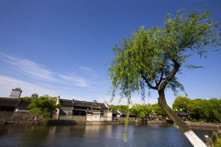 1. 东钱湖度虚假区：更广阔的美景