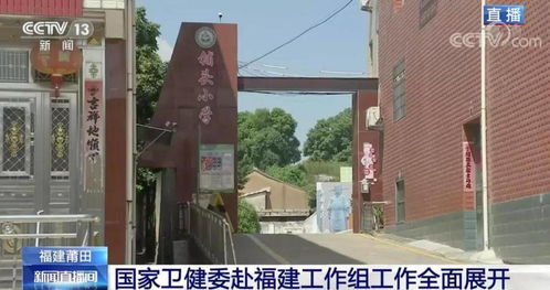 2. 莆田市：仙游县园庄镇枫林村的抗疫故事