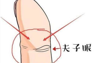 清晰度判断篇：深浅显命运起伏