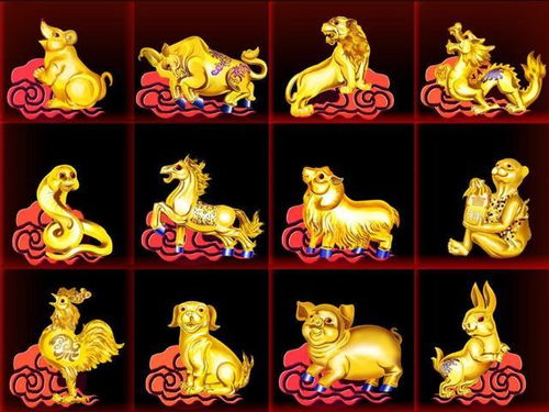 二、还有哪些隐藏的“暗黑阵容”？（别说我没提醒）