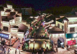 寻找消失的记忆