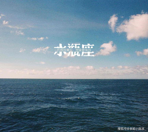 水瓶座：脑回路清奇的暖宝宝