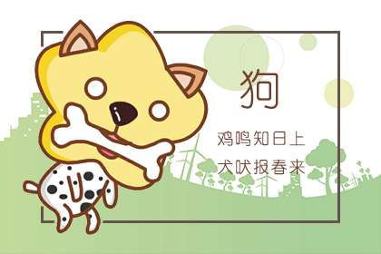 1970年属狗人在2026年健康运势如何，运气会否有所改观？