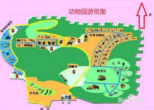 游客较小贴士—噪音版