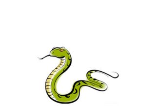 属蛇人出生日期算命准确吗？婚姻运势如何？