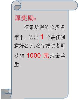一、  情感的羁绊与历史的回响