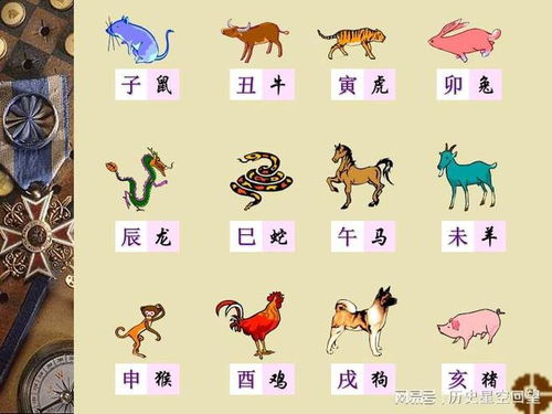 打中生肖年与年中生肖分别对应哪个生肖年份？