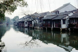 三、门票攻略：畅游古镇无忧