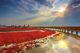 自驾路线：一场说走就走的旅行
