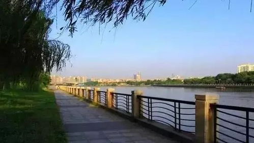 一、春日惠州，自驾之旅的完美起点？（大概吧…）