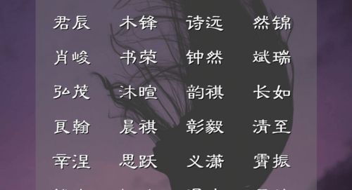 男孩起名的哲学思想：不仅是一个名称， 而是一生的印记