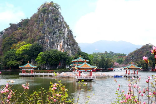 鼎湖山！空气甜到齁！拍照美到炸！