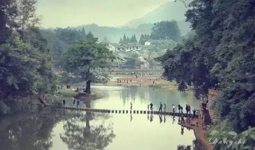 赣江风光带， 水墨画中游