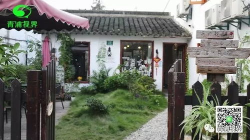 1. 静心苑：竹林中的宁静角落