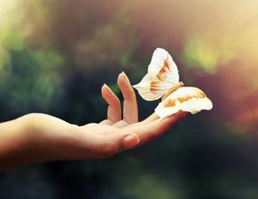 生肖与命运的纠缠：为何你总是半途而废？