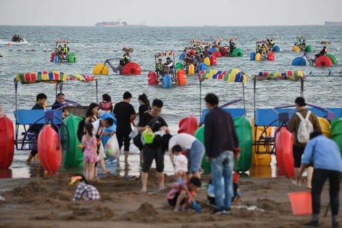 四、亲子体验，共享美好时光？还是鸡飞狗跳？
