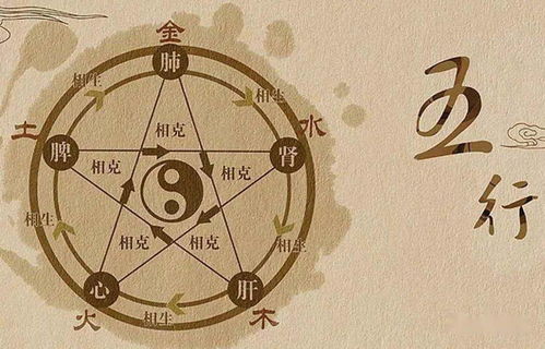 庄森翰这个名字中，五行缺木，如何为长尾？