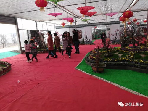 经济型住宿：穷人的选择