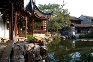 2026年开运套餐大揭秘