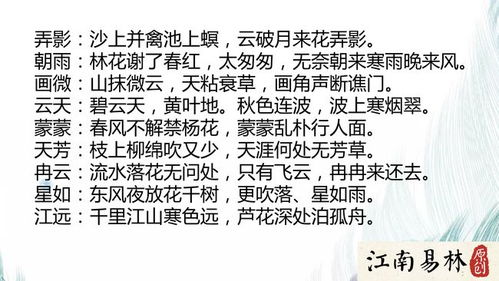 唐诗宋词里淘金：文学修养决定高级感