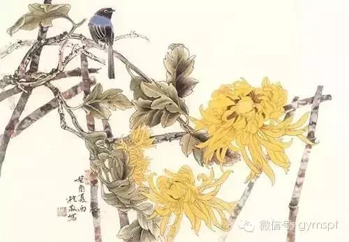 鼠年出生的戏精