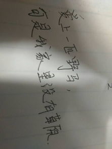 四、气质？能吃吗