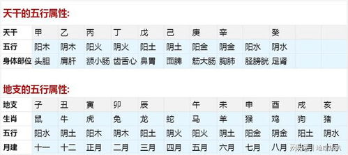 出生时辰堪命运真的准确吗？嫩否决定一个人的命运走向？