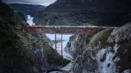 跨省旅游跟疯了一样